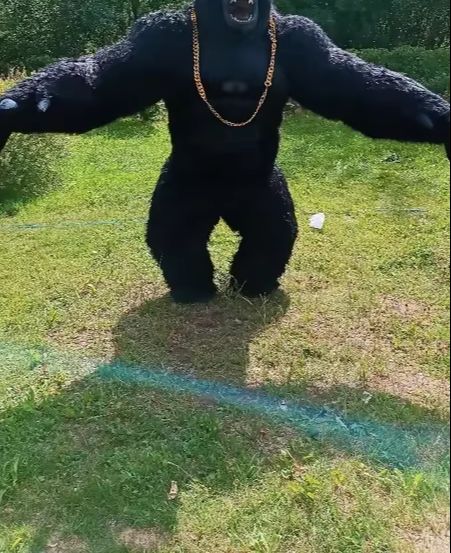Anime Cosplay Real Life - Echte opblaasbare gorilla kostuum volledige mascotte