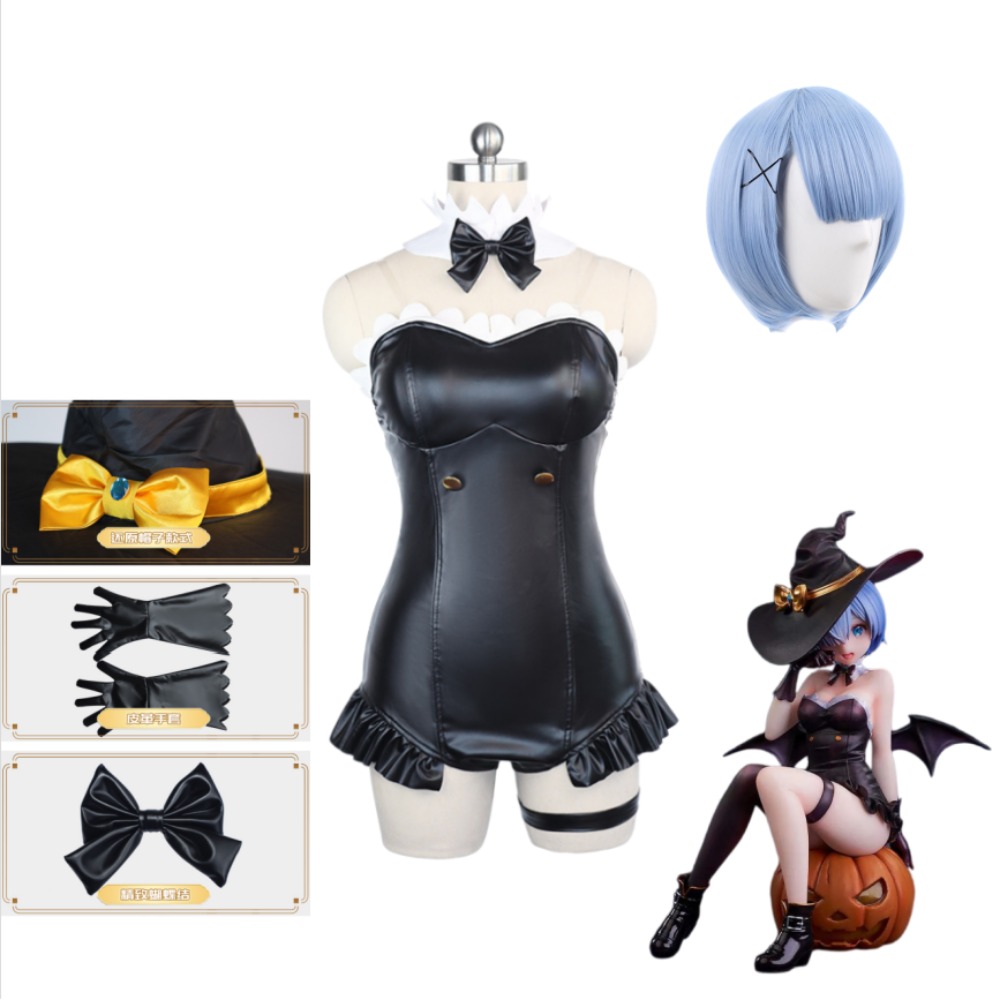 Re:Zero Startend een leven opn - Re Zero Rem Wig recensie en prijs