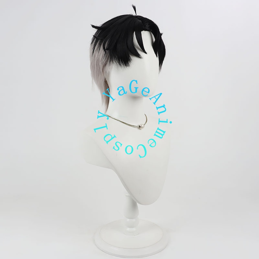 Mao Hua Wen Cosplaypruik Reali - Anime Cosplay Realistic recensie en prijs