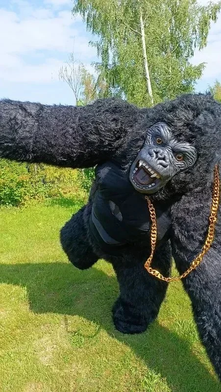 Kerst Real Life Opblaasbaar Go - Anime Cosplay Real Life recensie en prijs