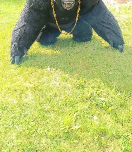 Echte opblaasbare gorilla kost - Anime Cosplay Real Life recensie en prijs