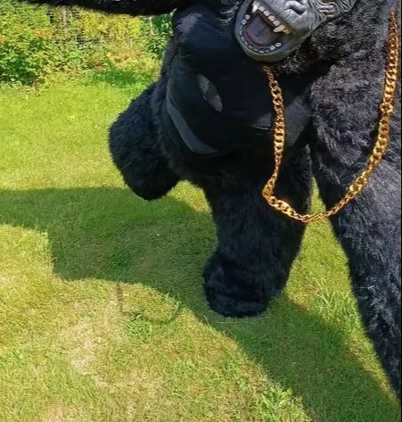 Echte opblaasbare gorilla kost - Anime Cosplay Real Life recensie en prijs