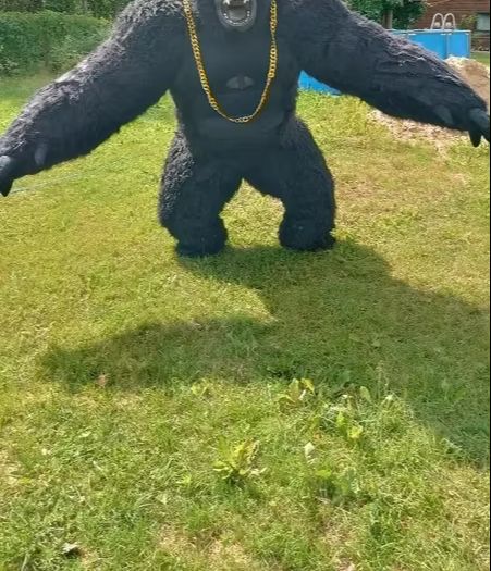 Echte opblaasbare gorilla kost - Anime Cosplay Real Life recensie en prijs